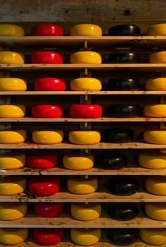 cheese wheels made in the Netherlands