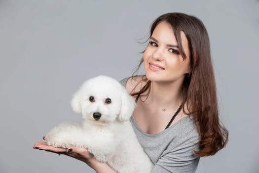 A beautiful young woman is holding her bichon puppy. Love between owner and dog. The girl is playing with the dog.