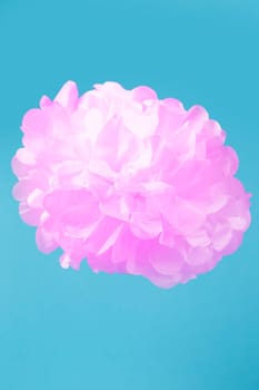 Paper pink flower on a blue background