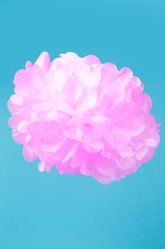 Paper pink flower on a blue background