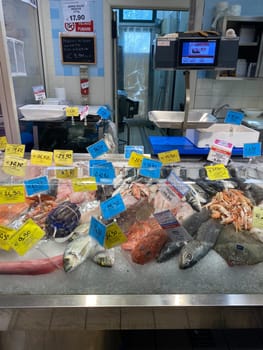 Numana, Italy - April 7 2023 fishermen selling fresh fish from adriatic sea ad seafood in the market early in the morning at the harbor dock