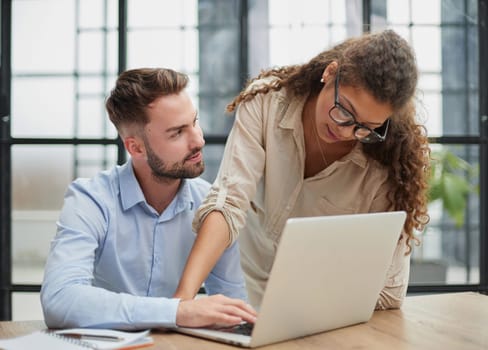 business lady looking at laptop with her colleague in the office