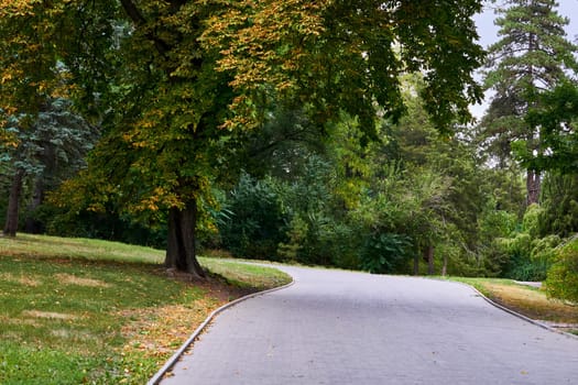 Autumn is one of the four temperate seasons. Outside the tropics, autumn marks the transition from summer to winter.