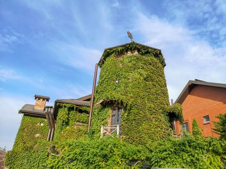 Medieval castle tower, old ancient architecture ivy-covered building. High quality photo