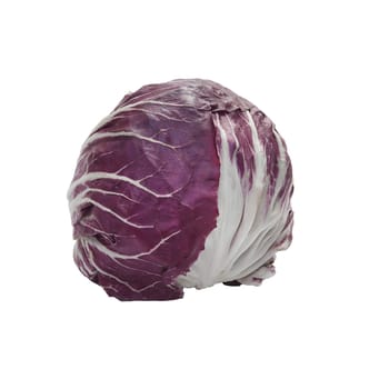 A head of red radicchio on a transparent background