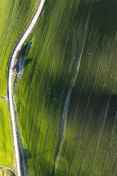 Aerial photographic documentation of the green color of a field in spring