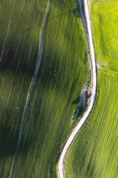 Aerial photographic documentation of the green color of a field in spring