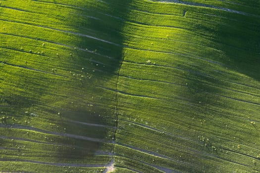 Aerial photographic documentation of the green color of a field in spring