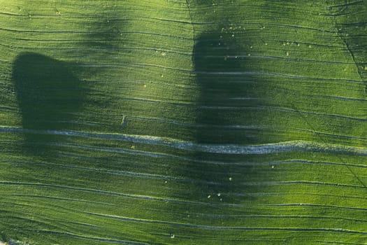 Aerial photographic documentation of the green color of a field in spring