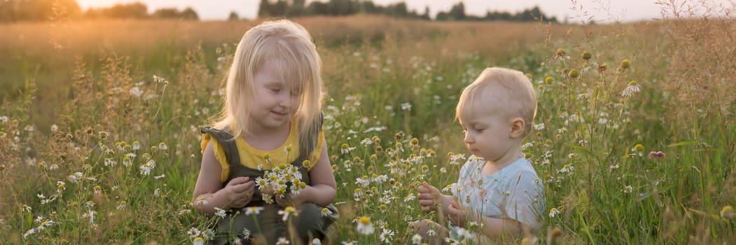 A little boy and a girl are picking flowers in a chamomile field. The concept of walking in nature, freedom and a healthy lifestyle.