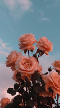 Pink roses against a sky background. Generative AI.