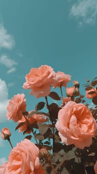 Pink roses against a sky background. Generative AI.