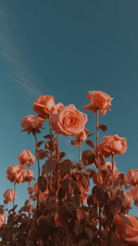 Pink roses against a sky background. Generative AI.