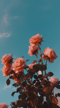 Pink roses against a sky background. Generative AI.