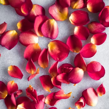 Rose petals on marble background, floral decor and wedding flatlay, holiday greeting card backdrop for event invitation, flat lay design.