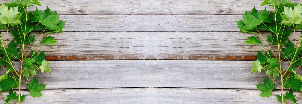 Old grunge wood texture with green leaves. Rough natural texture
