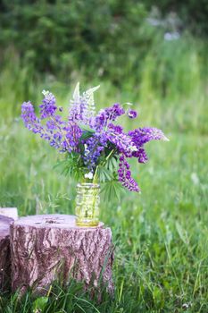 Bouquet of summer flowers on tree stump. Large-leaved or Bigleaf Lupine purple flowers. Lupinus polyphyllus plants.