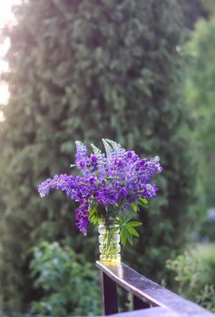 Bouquet of summer flowers on wooden railing outdoors. Large-leaved or Bigleaf Lupine purple flowers. Lupinus polyphyllus plants.