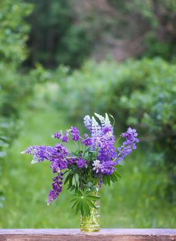 Bouquet of summer flowers outdoors. Large-leaved or Bigleaf Lupine purple flowers. Lupinus polyphyllus plants.