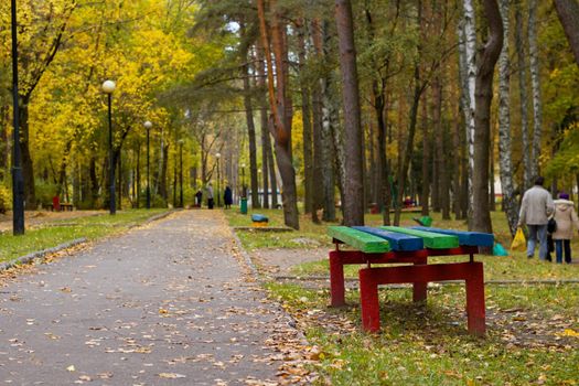 Bench in the yellow autumn park close up