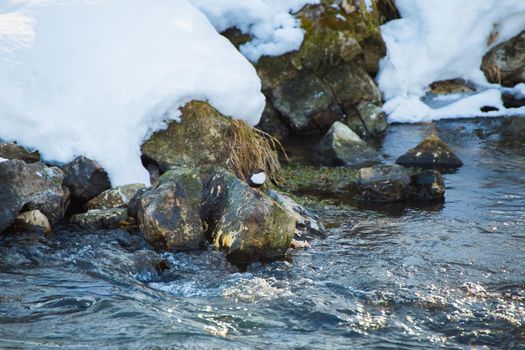 Winter landscape of a river with seething water and snow-capped rocky banks. Snow lies on the grass and stones. A stormy stream of water with white foaming waves and ripples.