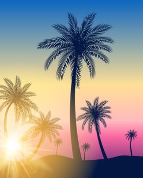 Beautifil Palm Tree Leaf Silhouette Background Vector Illustration EPS10