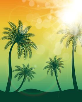 Beautifil Palm Tree Leaf Silhouette Background Vector Illustration EPS10