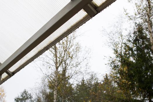 Raindrops from the roof on the background of the forest