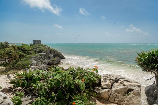 Sea shore on the Caribbean beach in the Zona Hoteleria in Cancun Quintana Roo Mexico.