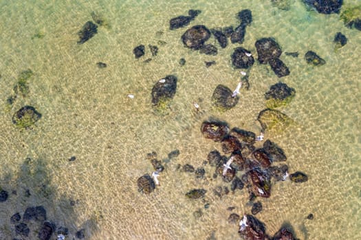 Aerial top view to surface with crystal clear sea water  with rocks and seagulls