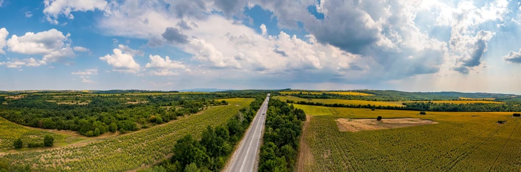 Panoramic aerial view of road between fields. Birds-eye view of the land with fields, meadows, and forest.