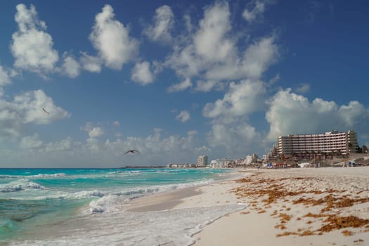 Sea shore on the Caribbean beach in the Zona Hoteleria in Cancun Quintana Roo Mexico.