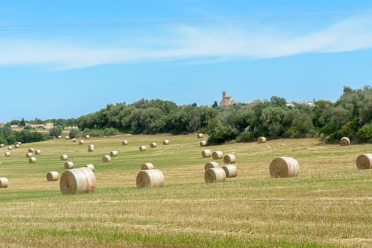 Stacks of straw - bales of hay, rolled into stacks left after harvesting of wheat ears, agricultural farm field with gathered crops rural. Balearic Islands, Majorca, Spain,