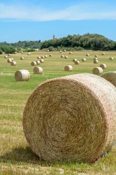 Stacks of straw - bales of hay, rolled into stacks left after harvesting of wheat ears, agricultural farm field with gathered crops rural. Balearic Islands, Majorca, Spain,