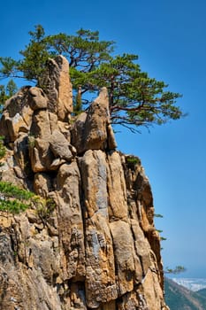 Pine tree and rock cliff at Towangpok Observatory viewpoint, Seoraksan National Park, South Korea