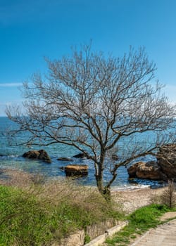 Coast of the Black Sea at the Wild Beach in Odessa, Ukraine, on a sunny spring day