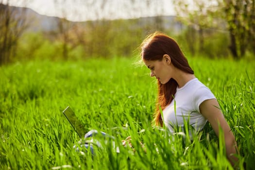 woman on the meadow relaxing and using a laptop. High quality photo