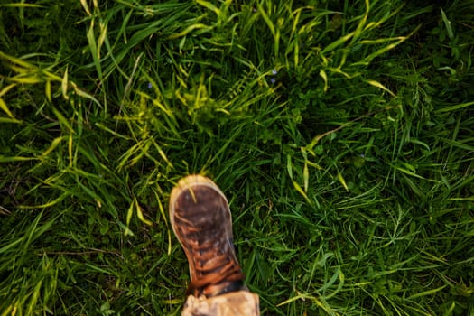 horizontal photo of a brown leather shoe on the foot of a man stepping on tall green grass in a field. High quality photo