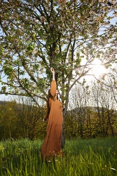 a slender woman with long red hair stands in the countryside near a flowering tree in a long orange dress and standing sideways to the camera reaches for the branches. High quality photo