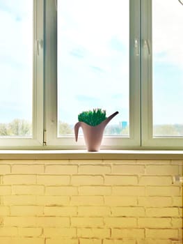 Green plant on a windowsill. lavender bush in a pot. Pot in the form of a watering can. creative solution for home flower. High quality photo