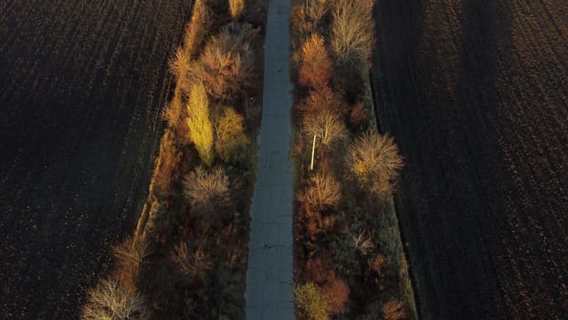 Beautiful landscape view old asphalt road with trees and shadows between large plowed agricultural fields of black soil on sunny autumn evening. Flying over dug agrarian fields of earth. Aerial drone