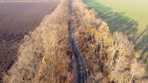 Woman in yellow jacket rides a bicycle on black dirt road between trees and agricultural fields on sunny autumn day. Woman on bicycle riding on dirt road on dirt road. Top view. Travel tourism