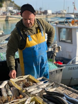 Numana, Italy - April 7 2023 fishermen selling fresh fish from adriatic sea ad seafood in the market early in the morning at the harbor dock