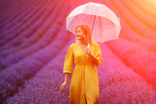 A middle-aged woman in a lavender field walks under an umbrella on a rainy day and enjoys aromatherapy. Aromatherapy concept, lavender oil, photo session in lavender.