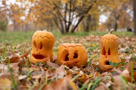 Three jack-o-lantern pumpkins on fallen leaves in a park. Halloween decorations