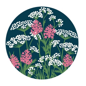 Hand drawn illustration of white cow parsley pink pyramidal orchid meadow wild flowers, wildflower floral design. Round circle nature plant on dark blue navy indigo background, british common herbs grass