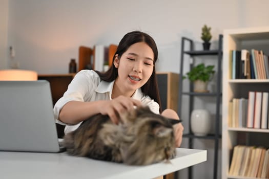 Asian woman playing her cat on theAsian woman playing her cat on the table in modern home office. table in modern home office. High quality photo