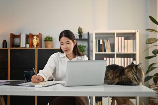 Young woman working at home office with domestic cat on table. High quality photo