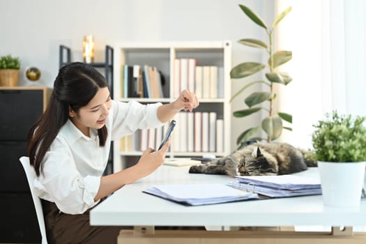 Positive moment young woman take a picture with her cat in the office. High quality photo
