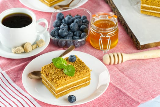 Homemade Honey cake. Honey cake Medovik, layer cake on white plate. Closeup view. sweet dessert cake. Slice of layered honey cake selective focus.